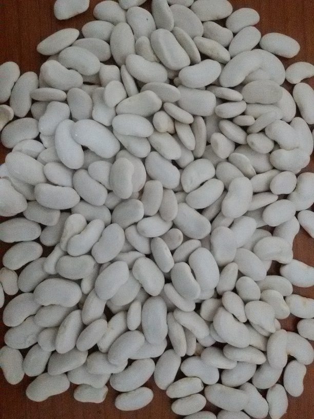 Tetavac Original seme (2)