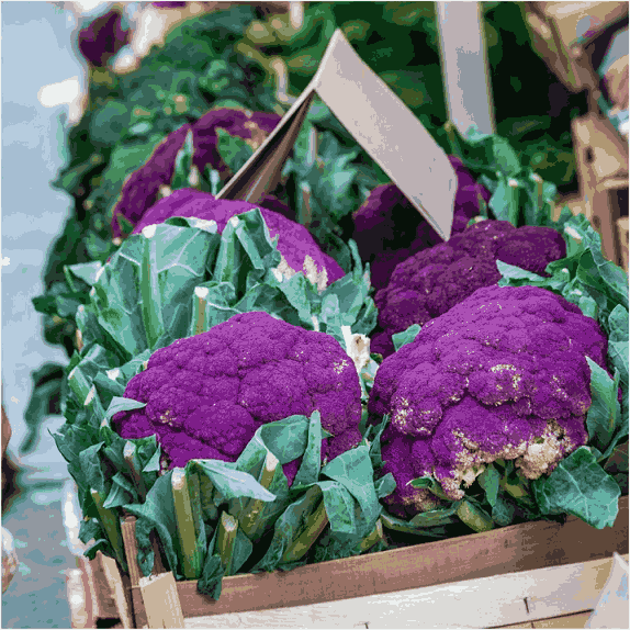 Ljubičasti Sicilijanski Karfiol (2)_2