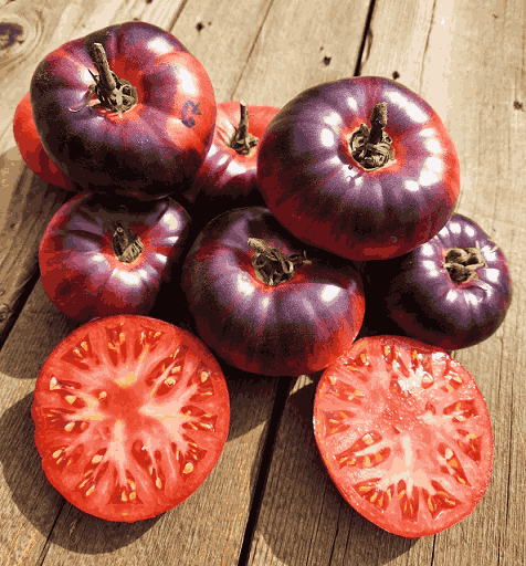 Antociano Paradajz (1)